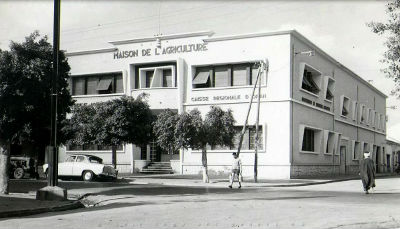 maison agriculture hammam