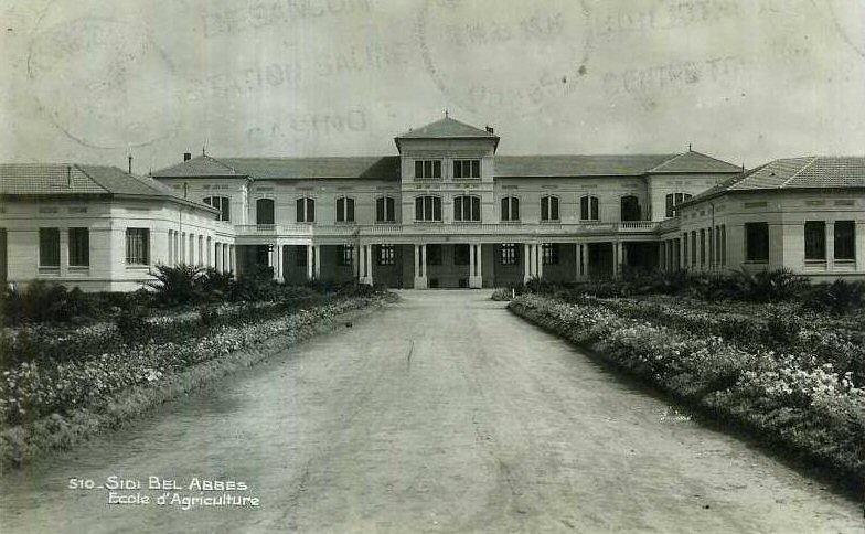 sidi bel abbes ecole agriculture